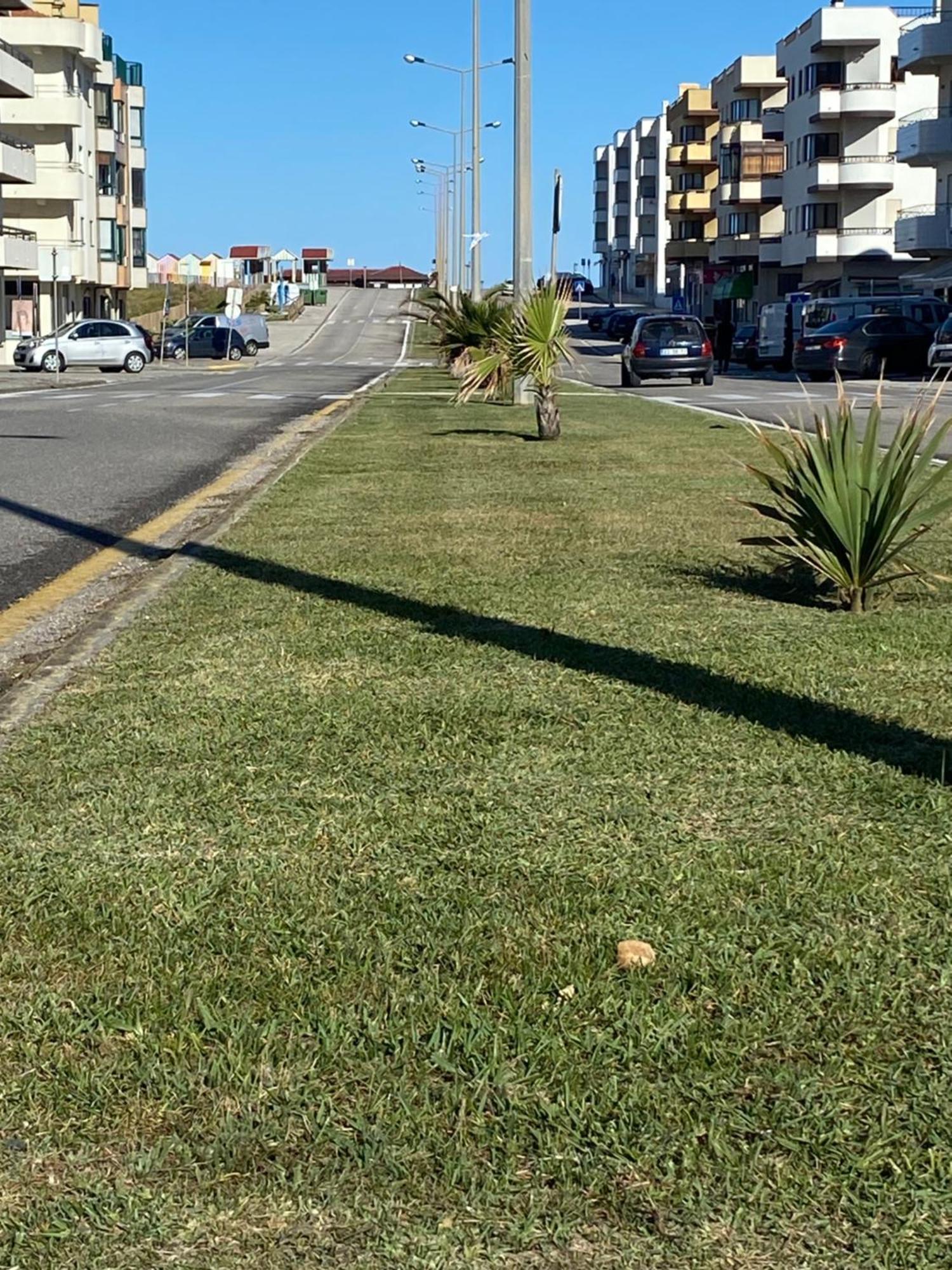 Apartamento Vista Mar 莱里亚维埃拉 外观 照片